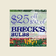 Breck's