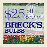 Breck's